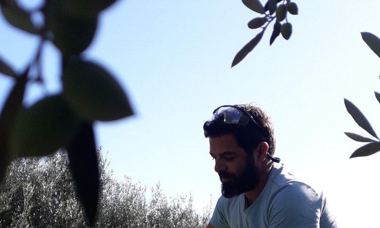 ΣΥΓΚΟΜΙΔΗ
